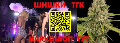 индика Таганрог