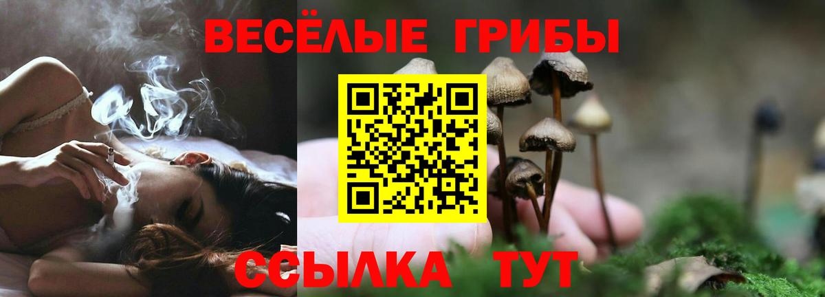 Псилоцибиновые грибы прущие грибы  Вход с VPN  Воронеж 